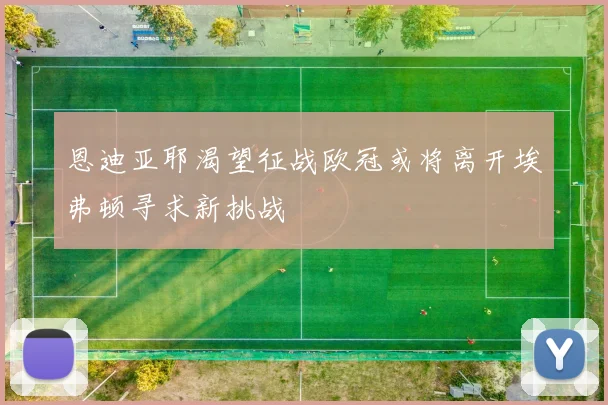 恩迪亚耶渴望征战欧冠或将离开埃弗顿寻求新挑战